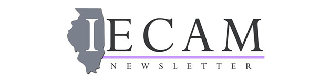 IECAM logo